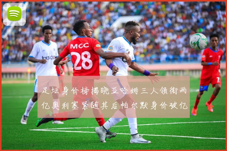 足坛身价榜揭晓亚哈姆三人领衔两亿奥利塞紧随其后帕尔默身价破亿